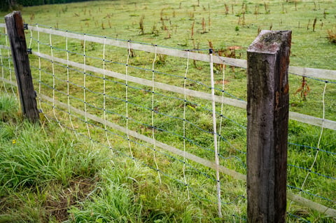 Electric fence installation on perimeter