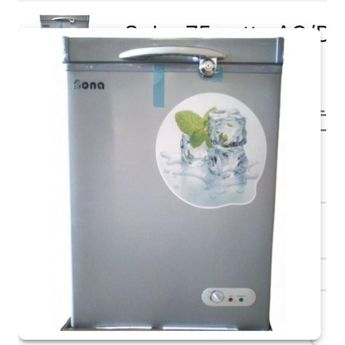 Silver Rona compact freezer with ice cubes and mint leaf graphic on door, featuring control buttons